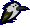 Kookaburras: